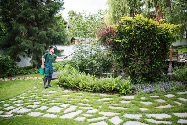Best Pest Prevention Services  in Haslett, MI
