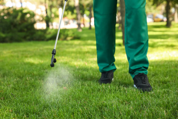 Best Best Pest Control Companies  in Haslett, MI