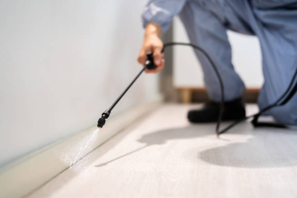 Best Local Pest Control Services  in Haslett, MI
