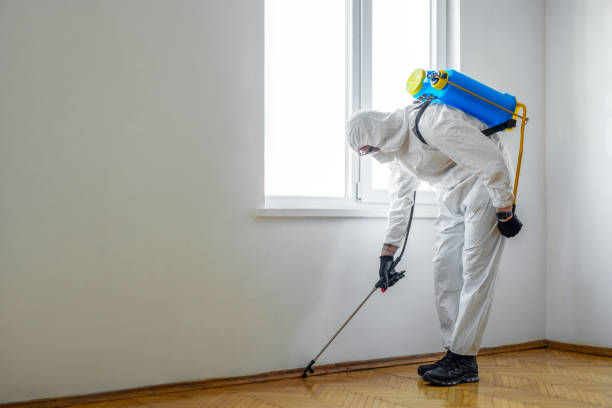 Best Cockroach Control Services  in Haslett, MI