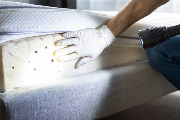 Professional Pest Control in Haslett, MI