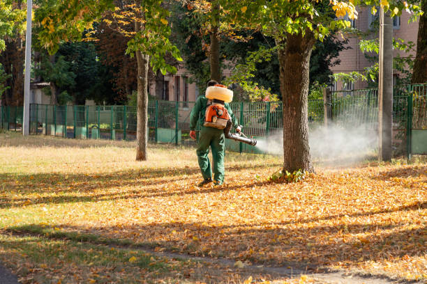 Best Mosquito Control Services  in Haslett, MI