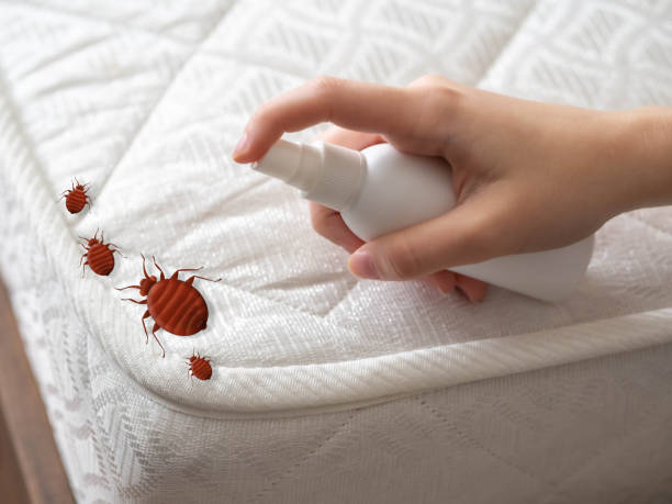 Pest Prevention Services in Haslett, MI