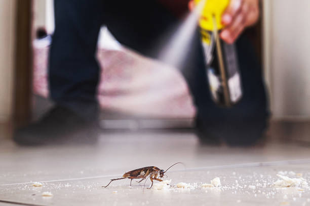Best Cockroach Control Services  in Haslett, MI