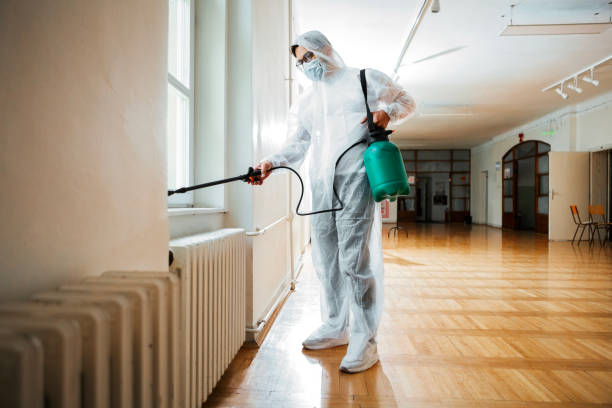 Best Insect Control  in Haslett, MI