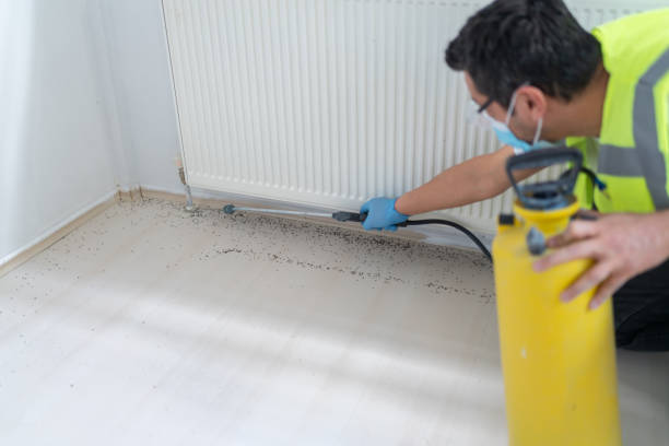 Best Pest Removal Services  in Haslett, MI