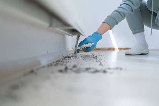Best Emergency Pest Control  in Haslett, MI